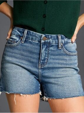 Buckle Black Fit No. 85 High Rise Stretch Denim Shorts (NWT)